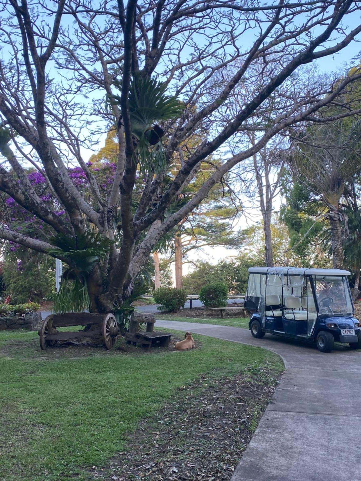 Koala Cabins Sunshine Coast Мейплтон Экстерьер фото